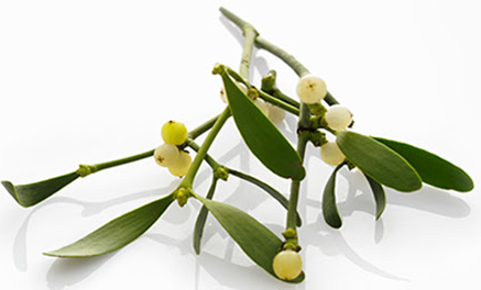 전이 억제부터 삶의 질 향상까지 '압노바비스쿰'의 임상 활용